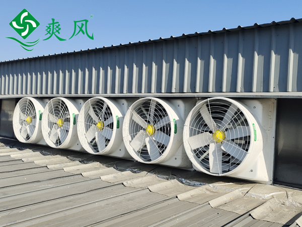 液壓零部件車(chē)間玻璃鋼負(fù)壓風(fēng)機(jī)通風(fēng)降溫 (2)